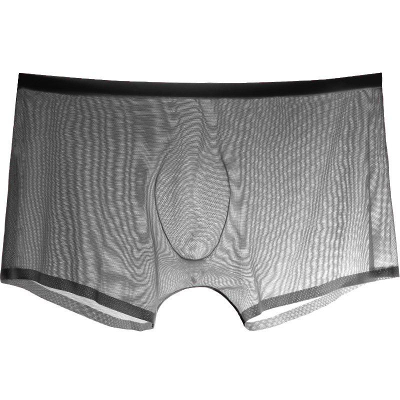 Male Boxer Men Briefs Sheer un - đánh giá và giá Trunk Breathable Men