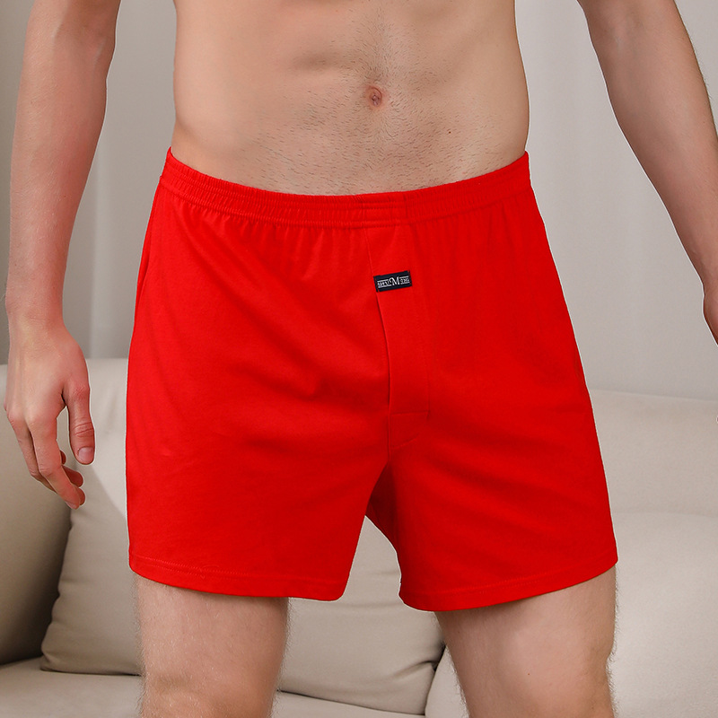 1PCS Men's Underwear Aro Pants - đánh giá và giá Boxer Brief Pack Cotton