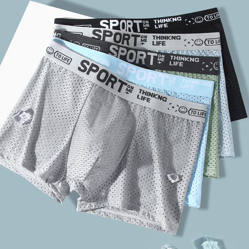 5PCS Men's Ice Silk Mesh Boxer - đánh giá và giá Mesh Sport Boxer